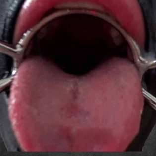 DEEP GAG Max|TOY PLAYER|TV|Mundknebel Gag