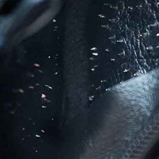 ALPHA X Prick Cage en cuir|Alpha X|TV|Peniskäfige