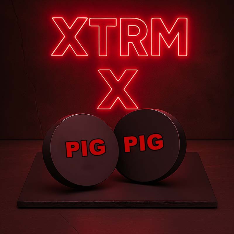 PIG XTRM EYE PADS|XTRM|TV|Masques & Eye Caps