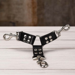 maître triple contrôle 3